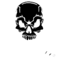 Turner Cycles